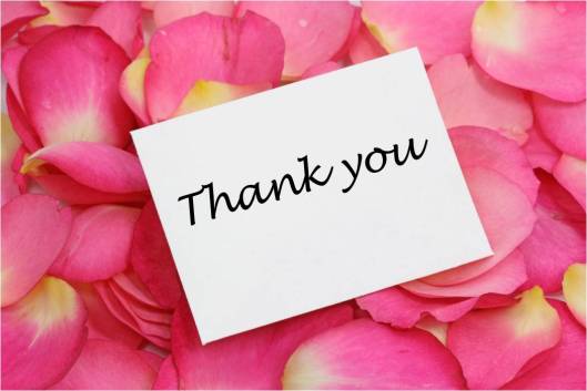 thank-you w rose petals